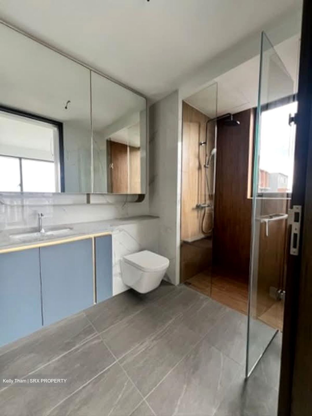 Amo Residence (D20), Apartment #557986391